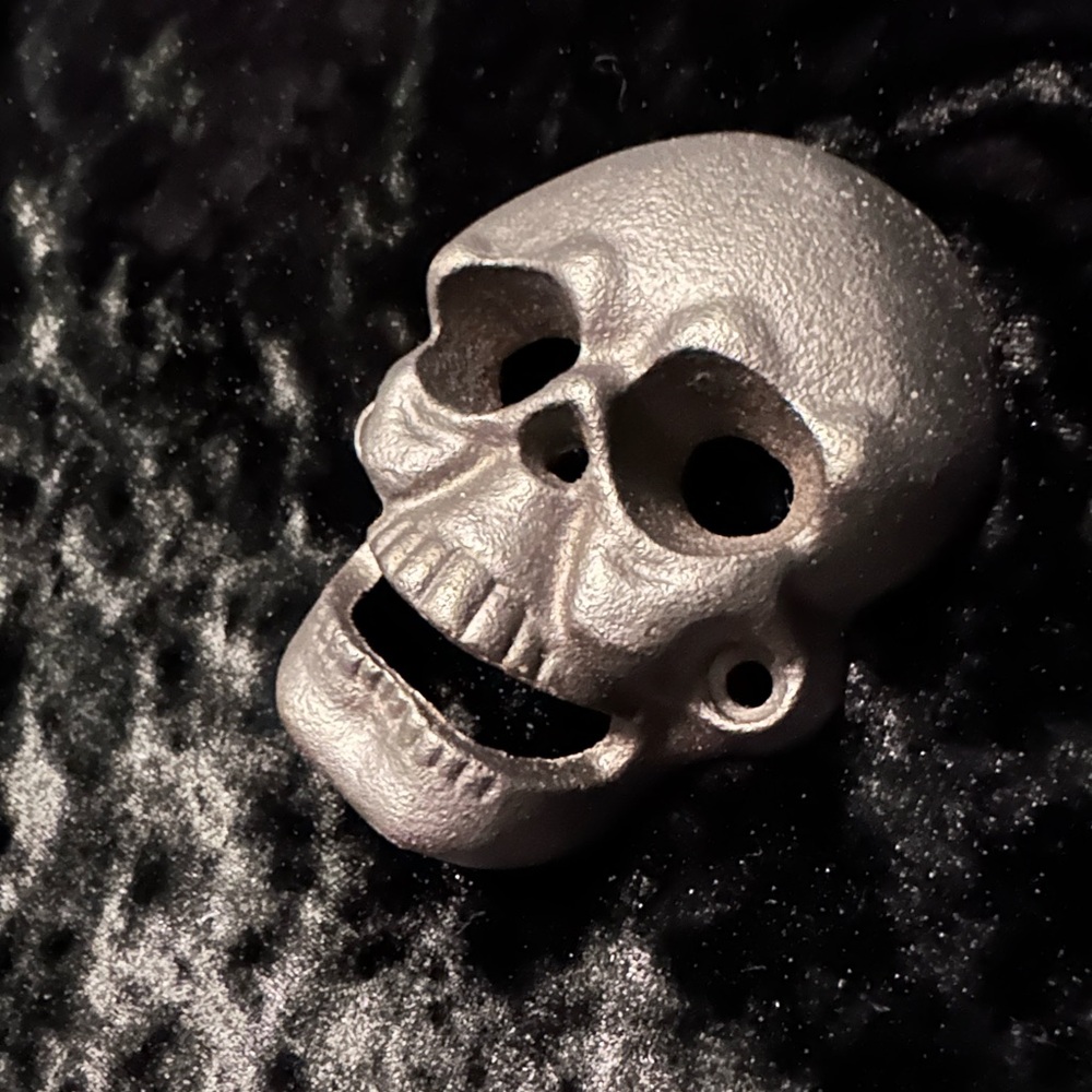 Silver Skull Wall Decor